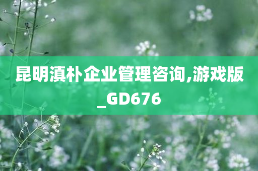 昆明滇朴企业管理咨询,游戏版_GD676