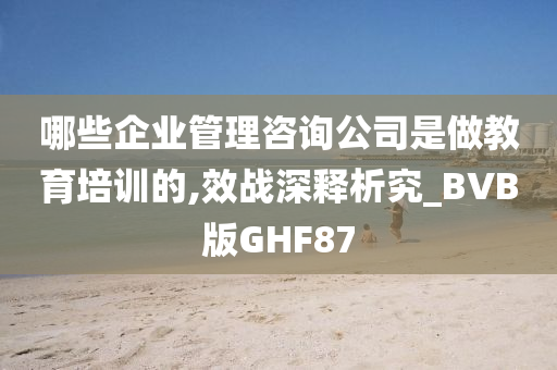 哪些企业管理咨询公司是做教育培训的,效战深释析究_BVB版GHF87