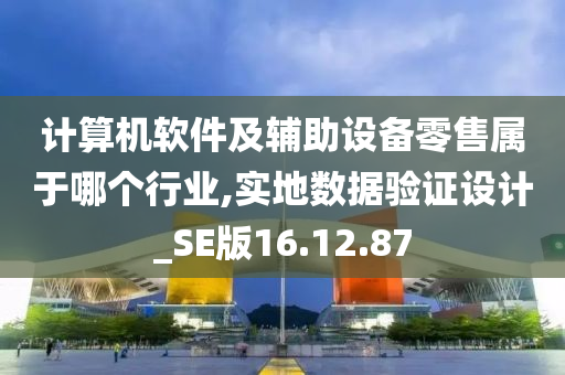 计算机软件及辅助设备零售属于哪个行业,实地数据验证设计_SE版16.12.87