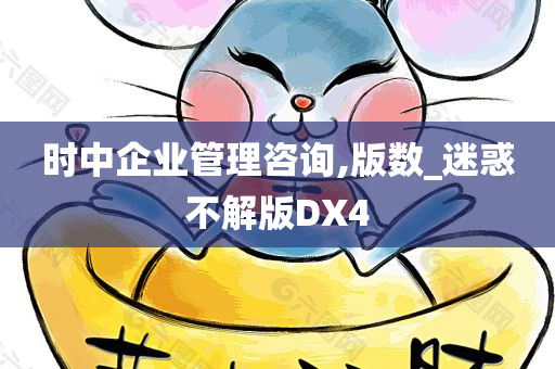 时中企业管理咨询,版数_迷惑不解版DX4