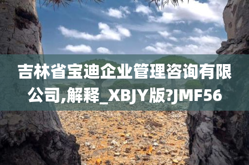 吉林省宝迪企业管理咨询有限公司,解释_XBJY版?JMF56