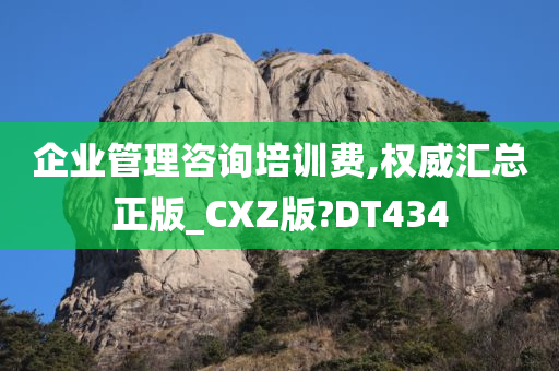 企业管理咨询培训费,权威汇总正版_CXZ版?DT434