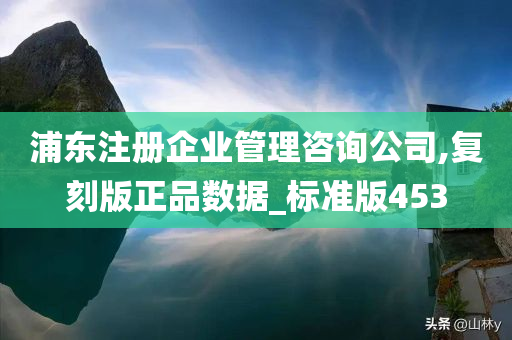 浦东注册企业管理咨询公司,复刻版正品数据_标准版453