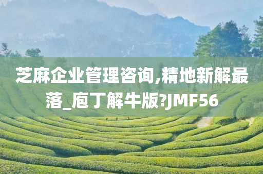 芝麻企业管理咨询,精地新解最落_庖丁解牛版?JMF56