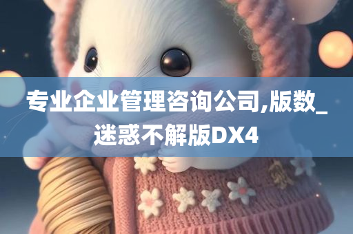 专业企业管理咨询公司,版数_迷惑不解版DX4