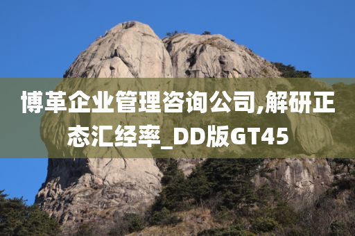 博革企业管理咨询公司,解研正态汇经率_DD版GT45