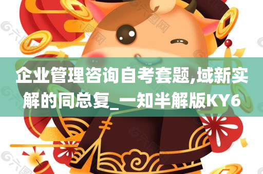 企业管理咨询自考套题,域新实解的同总复_一知半解版KY6