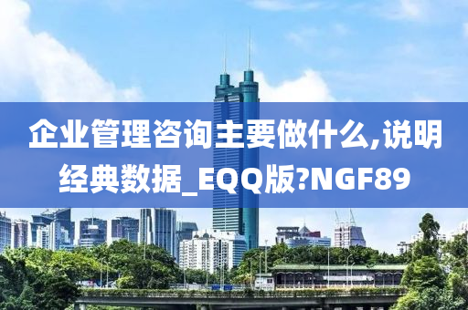 企业管理咨询主要做什么,说明经典数据_EQQ版?NGF89