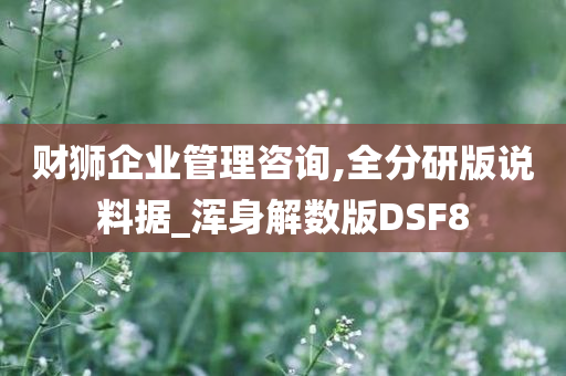 财狮企业管理咨询,全分研版说料据_浑身解数版DSF8