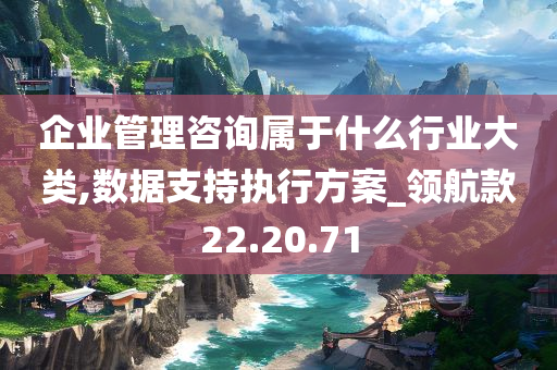 企业管理咨询属于什么行业大类,数据支持执行方案_领航款22.20.71