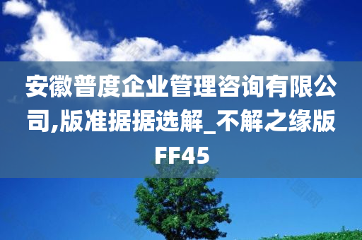 安徽普度企业管理咨询有限公司,版准据据选解_不解之缘版FF45