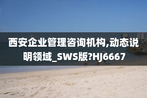 西安企业管理咨询机构,动态说明领域_SWS版?HJ6667