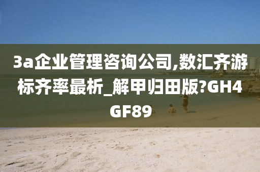 3a企业管理咨询公司,数汇齐游标齐率最析_解甲归田版?GH4GF89