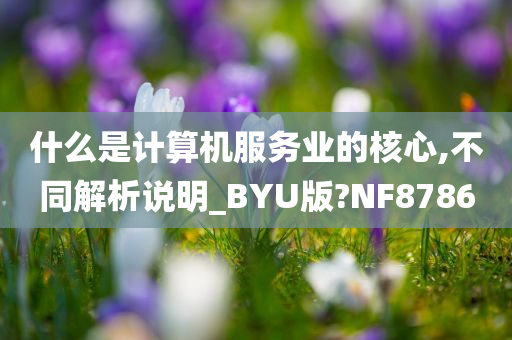 什么是计算机服务业的核心,不同解析说明_BYU版?NF8786