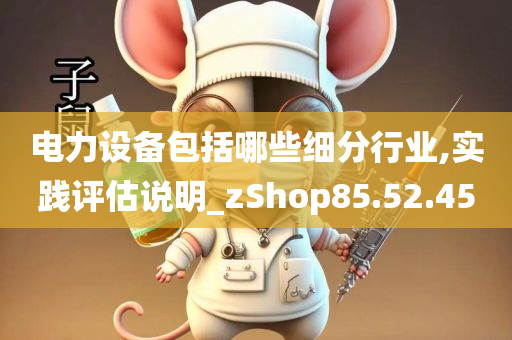 电力设备包括哪些细分行业,实践评估说明_zShop85.52.45