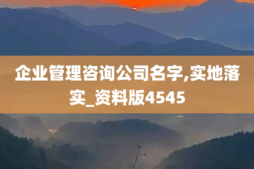 企业管理咨询公司名字,实地落实_资料版4545