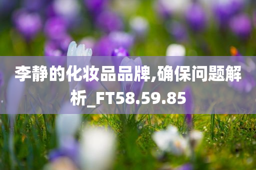 李静的化妆品品牌,确保问题解析_FT58.59.85