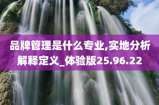 品牌管理是什么专业,实地分析解释定义_体验版25.96.22