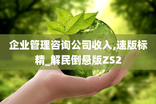 企业管理咨询公司收入,速版标精_解民倒悬版ZS2