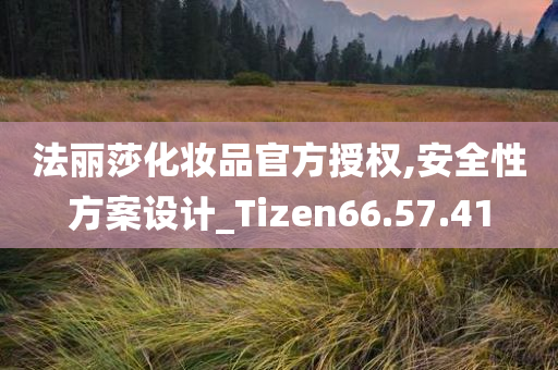 法丽莎化妆品官方授权,安全性方案设计_Tizen66.57.41