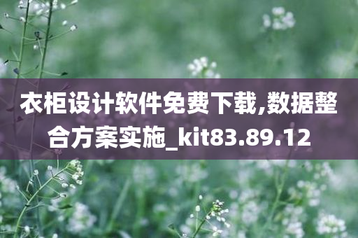 衣柜设计软件免费下载,数据整合方案实施_kit83.89.12