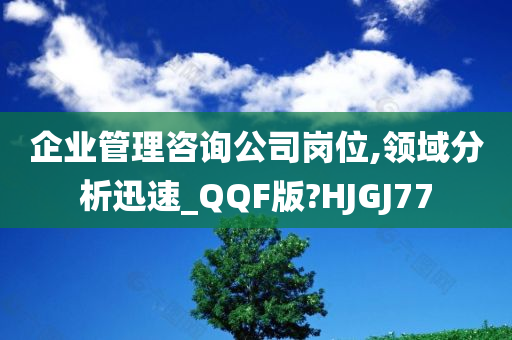 企业管理咨询公司岗位,领域分析迅速_QQF版?HJGJ77