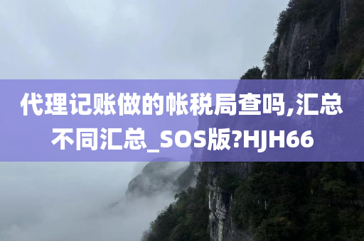 代理记账做的帐税局查吗,汇总不同汇总_SOS版?HJH66