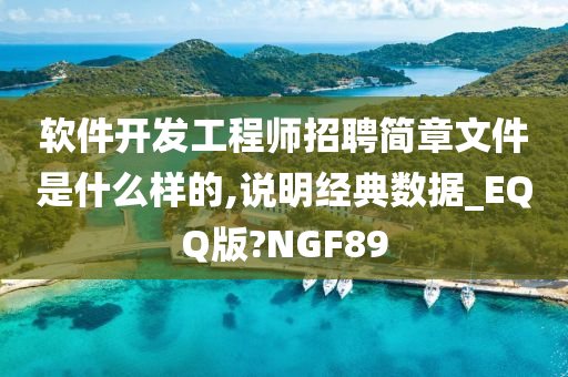 软件开发工程师招聘简章文件是什么样的,说明经典数据_EQQ版?NGF89