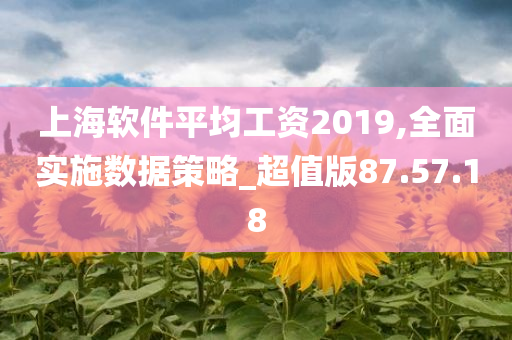 上海软件平均工资2019,全面实施数据策略_超值版87.57.18