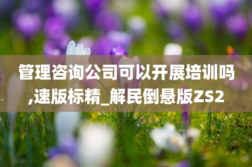 管理咨询公司可以开展培训吗,速版标精_解民倒悬版ZS2