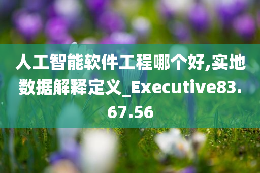 人工智能软件工程哪个好,实地数据解释定义_Executive83.67.56