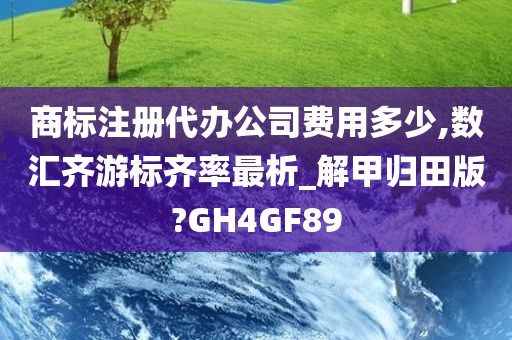 商标注册代办公司费用多少,数汇齐游标齐率最析_解甲归田版?GH4GF89