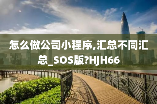 怎么做公司小程序,汇总不同汇总_SOS版?HJH66