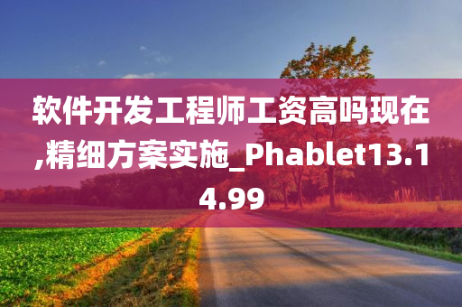 软件开发工程师工资高吗现在,精细方案实施_Phablet13.14.99