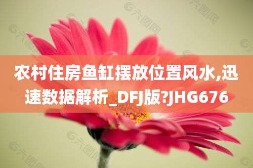 农村住房鱼缸摆放位置风水,迅速数据解析_DFJ版?JHG676