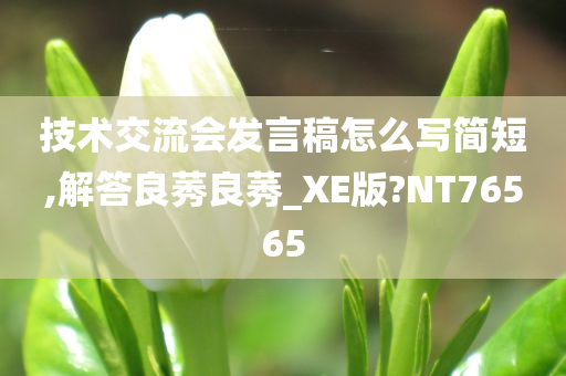 技术交流会发言稿怎么写简短,解答良莠良莠_XE版?NT76565