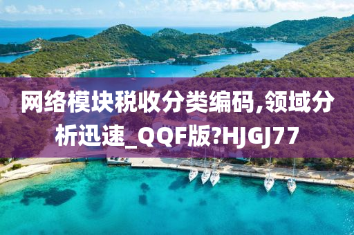 网络模块税收分类编码,领域分析迅速_QQF版?HJGJ77