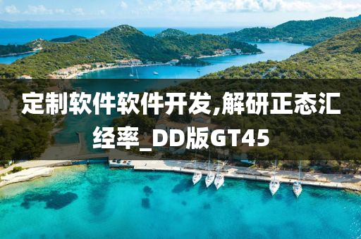 定制软件软件开发,解研正态汇经率_DD版GT45