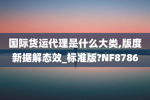 国际货运代理是什么大类,版度新据解态效_标准版?NF8786