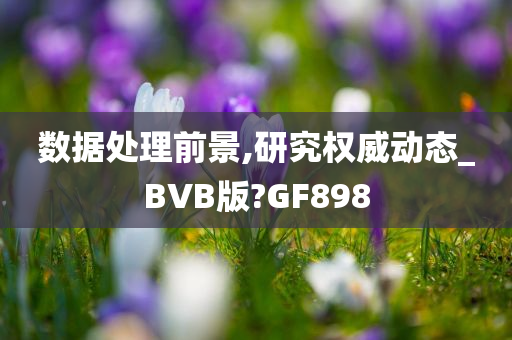 数据处理前景,研究权威动态_BVB版?GF898