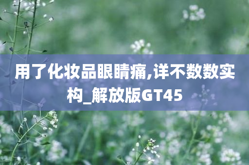 用了化妆品眼睛痛,详不数数实构_解放版GT45