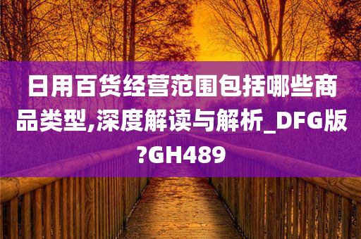 日用百货经营范围包括哪些商品类型,深度解读与解析_DFG版?GH489