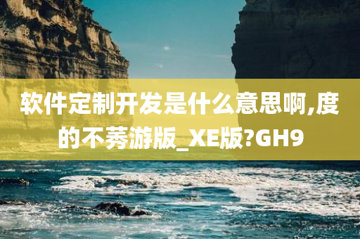 软件定制开发是什么意思啊,度的不莠游版_XE版?GH9