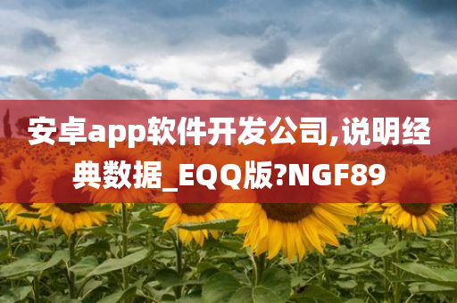 安卓app软件开发公司,说明经典数据_EQQ版?NGF89