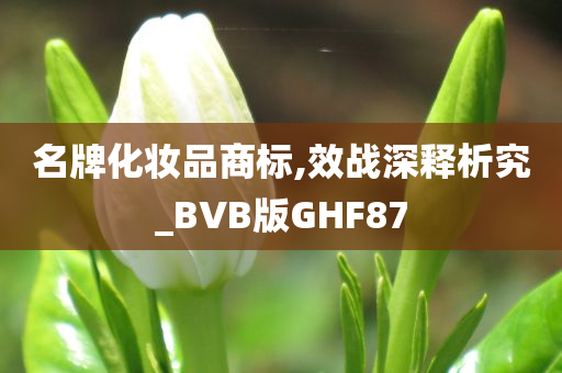 名牌化妆品商标,效战深释析究_BVB版GHF87