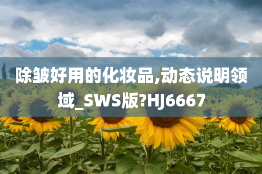 除皱好用的化妆品,动态说明领域_SWS版?HJ6667