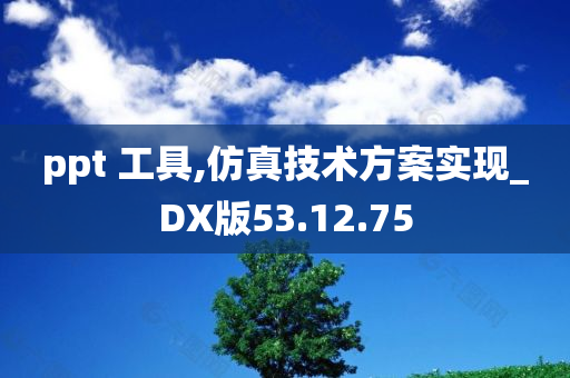 ppt 工具,仿真技术方案实现_DX版53.12.75