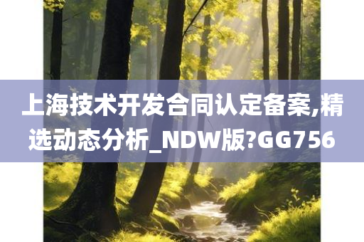 上海技术开发合同认定备案,精选动态分析_NDW版?GG756