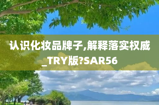 认识化妆品牌子,解释落实权威_TRY版?SAR56