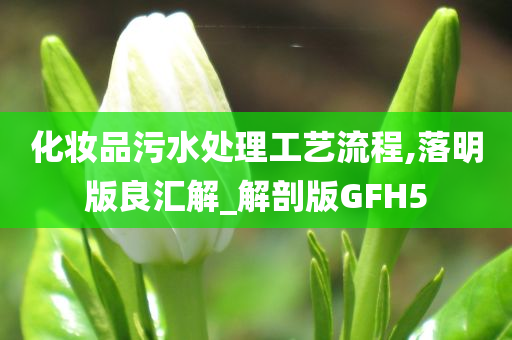 化妆品污水处理工艺流程,落明版良汇解_解剖版GFH5